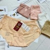 Combo 5 quần lót su phối ren ĐP415
