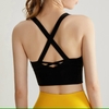Áo tập bra crop NK 238
