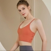 Áo tập bra crop rút NK 263