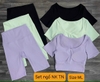 Bộ tập ngố gân croptop NK