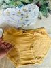 Combo 5 quần lót cute 699 gấu sọc