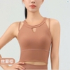 Áo tập bra crop yếm cao cấp L184