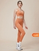 Bộ tập dài dây màu NK 356