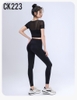 Bộ tập dài crop lulu 3840