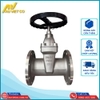 Van cổng inox DN100