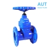 Van cổng ty chìm AUT | DN50 - DN600