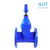 Van cổng ty chìm AUT | DN50 - DN600
