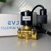 Van Điện Từ EVJ 15A-2W - Phi 21 | IP68 - Max 10bar