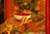 BÁT GABBRA ( BÁT SỌ NGƯỜI )