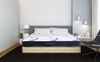 Đệm Bông Hanvico Blue Nano Silver Flexible