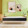 Đệm Bông Ép Everon Top Plus