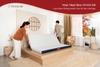 Đệm Foam Oyasumi Original Gập 3 Tiêu Chuẩn