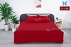 Bộ Chăn Ga Gối Elan TL538