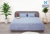 Bộ Chăn Ga Gối Elan Cotton Sateen Chần Bông
