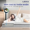 Đệm Cao Su Liên Á L'A Dome Grey 10 cm