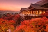Lịch ngắm lá đỏ Nhật Bản mùa thu 2023 mới nhất