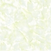 Gạch lát nền Viglacera 002