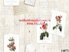 giay-dan-tuong-han-quoc-14073