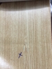 tham-nhua-trai-san-pvc-tapi