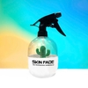 Bình Xịt Nước B12 Xương Rồng 500ml