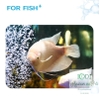 thuc-an-ca-tai-phat-jonsanty-giant-gourami-feed