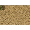 northfin-cichlid-formula