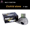 cichlid-stone