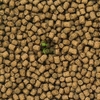 hikari-lionhead-sinking-mini-pellets