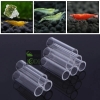 acrylic-mini-shrimp-tubes