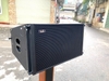 Line Array Lx acoustic DE112