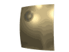 champagne