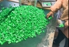 Domino KF103 7P 5,0mm