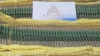Điện trở MO chân đồng 470R 1W 5% (50 con) G6-C2