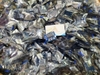 Mạch test dung lượng ZB2L3 cho pin Lithium Li-on 18650 1.2 – 12V G5-B4
