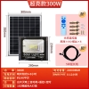 Đèn năng lượng mặt trời Solar Light IP67 300W tấm pin 30.5 x 35cm