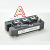 Module biến tần IGBT CM100DY-34A new