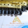 Tụ 4.7uF 50V NICHICON (RK-179)