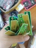 Cò bóp kích cá phíp thủy tinh G1-C5-C6