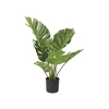 Chậu cây xanh nghệ thuật