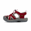 Sandal nữ Vento bít mũi SD08001R màu đỏ đô