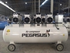 may-nen-khi-khong-dau-giam-am-pegasus-6hp-tm-of1100x4-500l