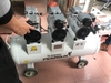 may-nen-khi-khong-dau-giam-am-pegasus-3hp-70l-tm-of750x3-70l