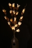 Cành hoa Lan có đèn