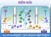 Máy điện giải ion kiềm Kangen LeveLuk JrII