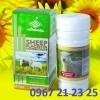 Sheep placenta concentrate- viên uống nhau thai cừu