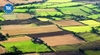 Hồ sơ xin thuê đất dự án đầu tư tại Bắc Ninh gồm những gì? | Công ty Luật TLK