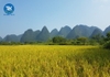 Dịch vụ luật sư tranh chấp đất đai tại An Giang của Công ty Luật TLK (MỚI NHẤT)