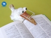 Luật sư bồi thường thiệt hại tại Hải Phòng (MỚI NHẤT)
