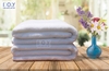 Khăn tắm trắng Khách sạn 70x140 cm, Tl 550g  Siêu dày, 100% cotton. Tiêu chuẩn 3-5* !