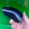 chuột không dây logitech